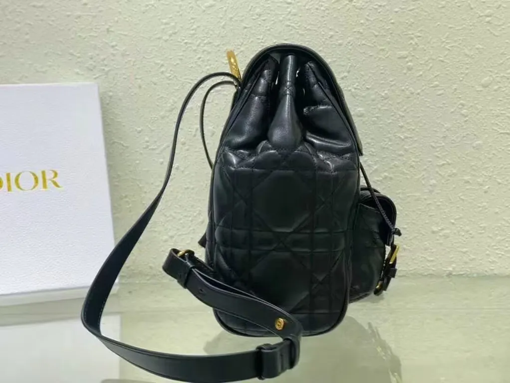 Dior Bag 